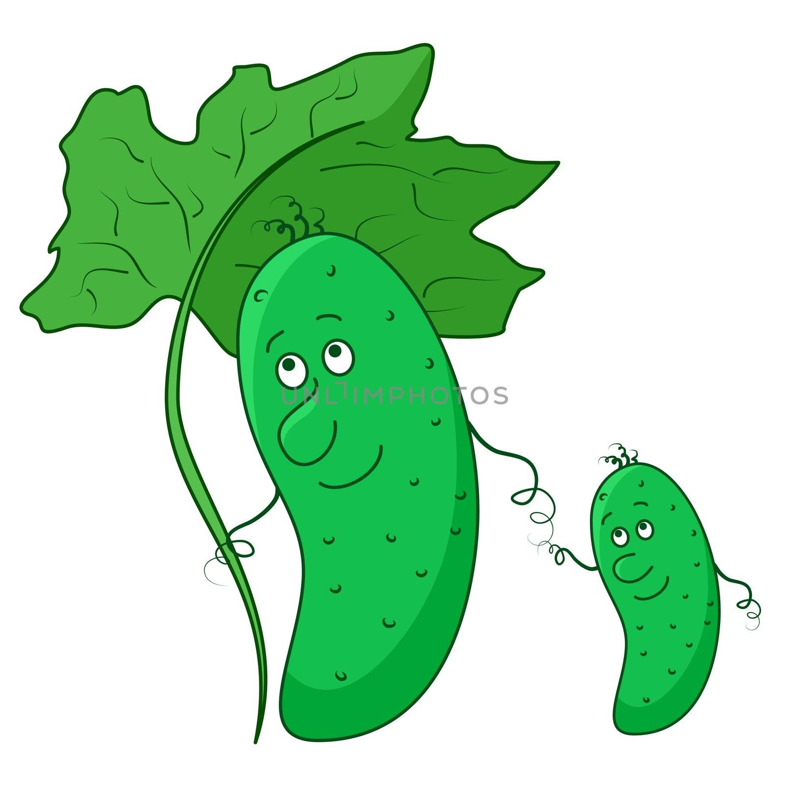 ?ucumber family, baby and parent with green leave
