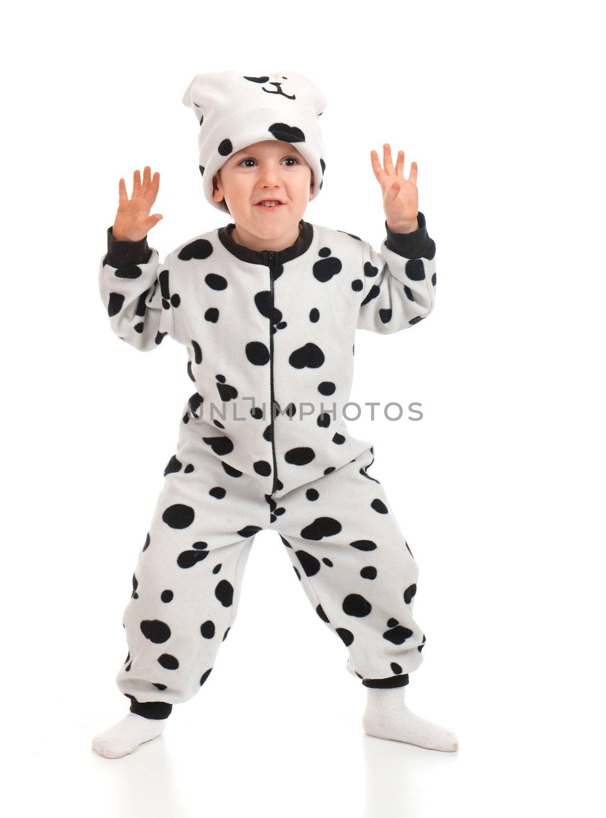 Little boy   dressed in a Dalmatian  suit.Plum Pudding Dog