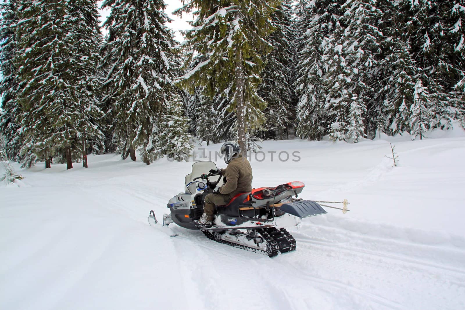 Man on a snowmobile by renegadewanderer