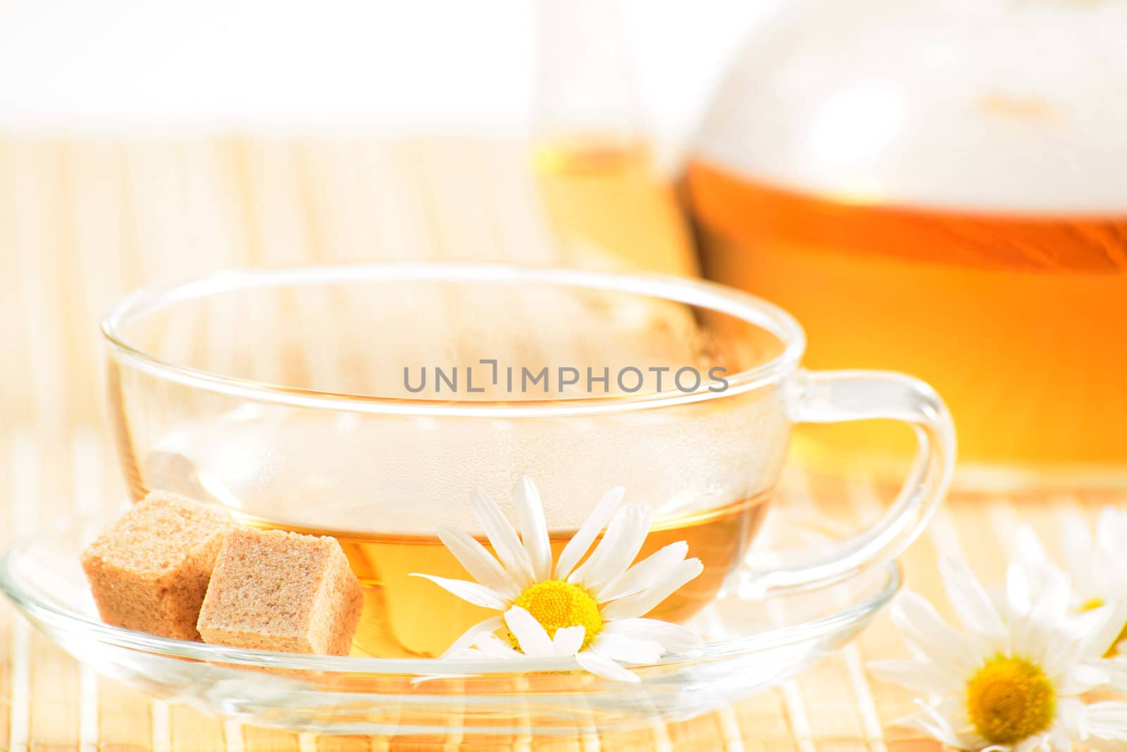 teacup with herbal chamomile tea by adam121