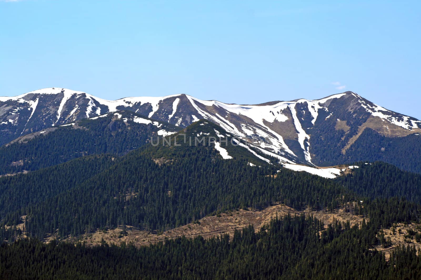 Snow covers the mountains in the distance. Green pine trees in the foreground.