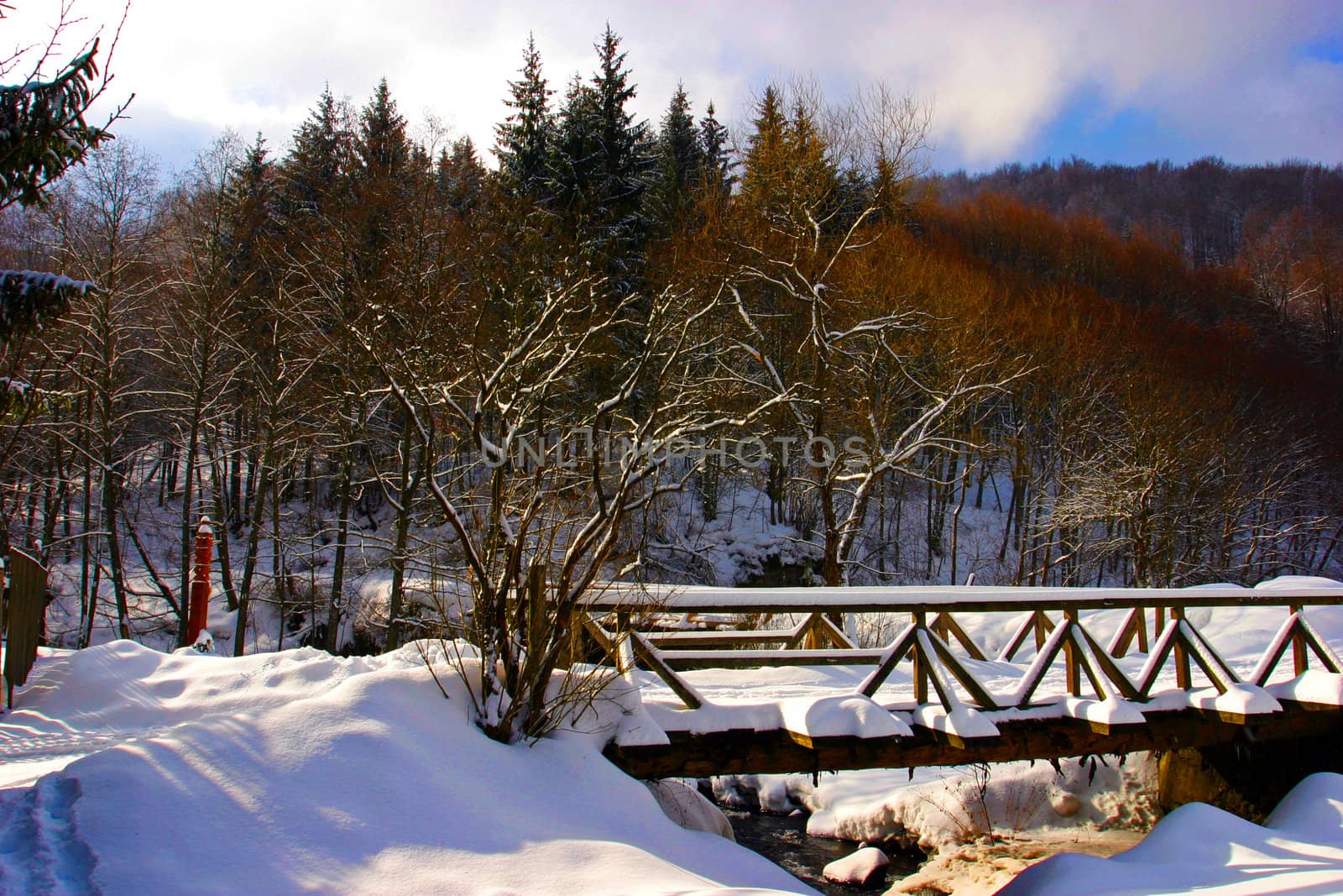 Bridge on torrent on winter