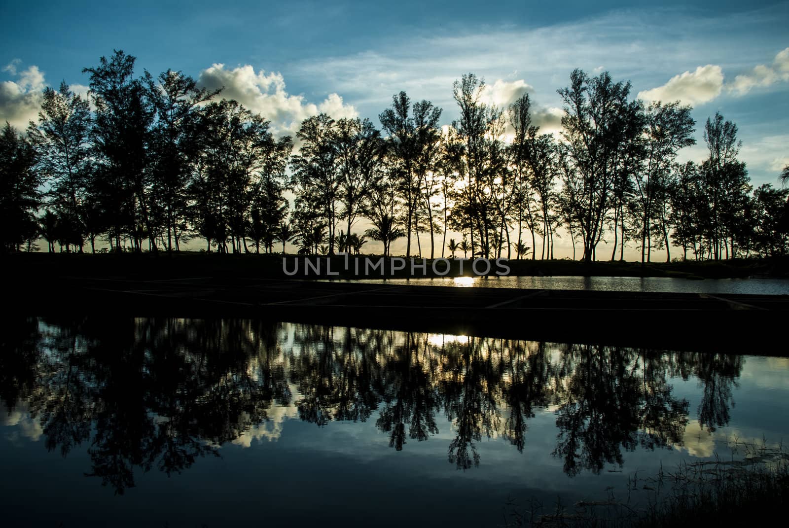 Reflection of the tree in lake by Aduldej