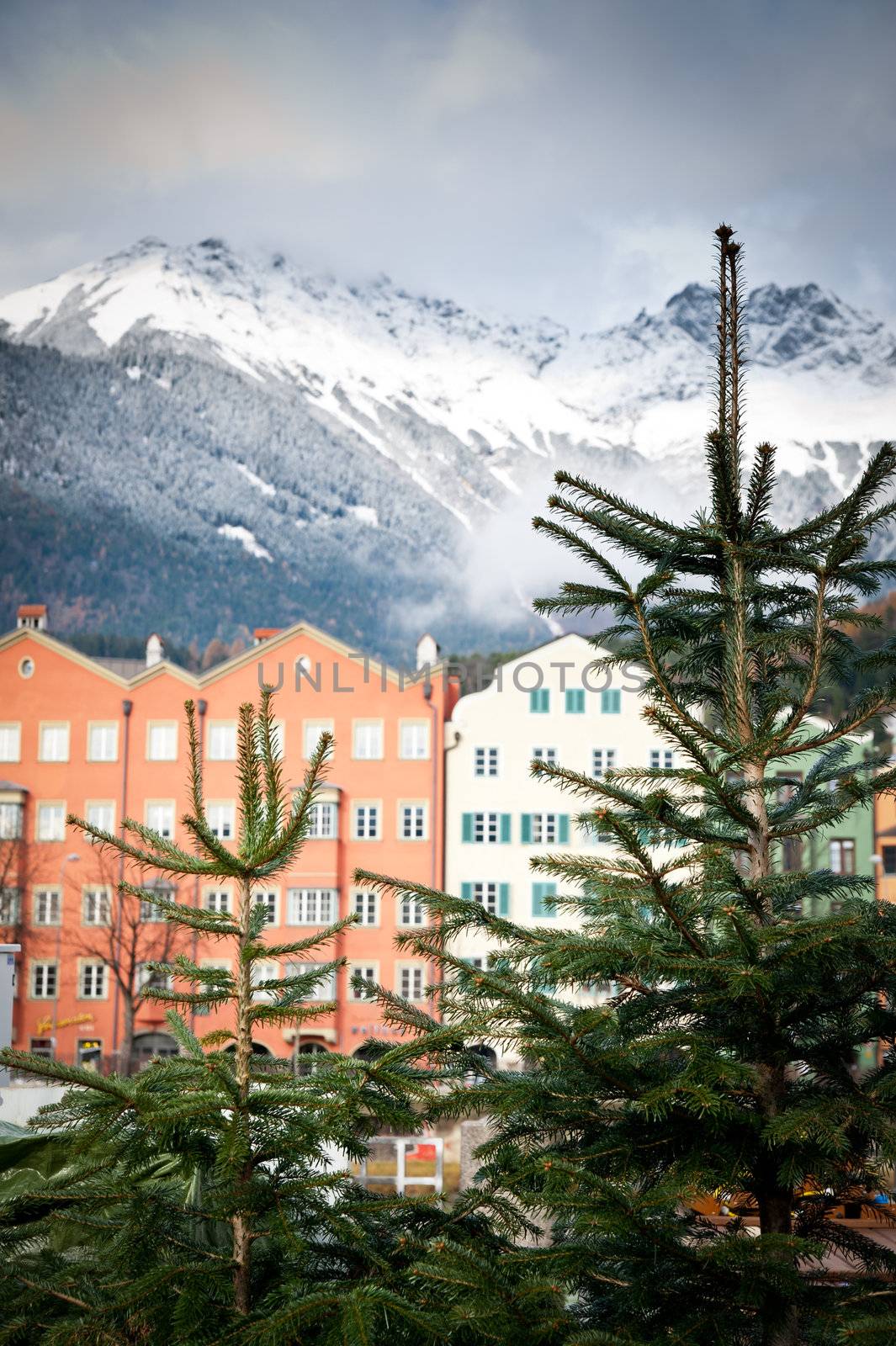 Historic Houses with Fir Trees and Mountain