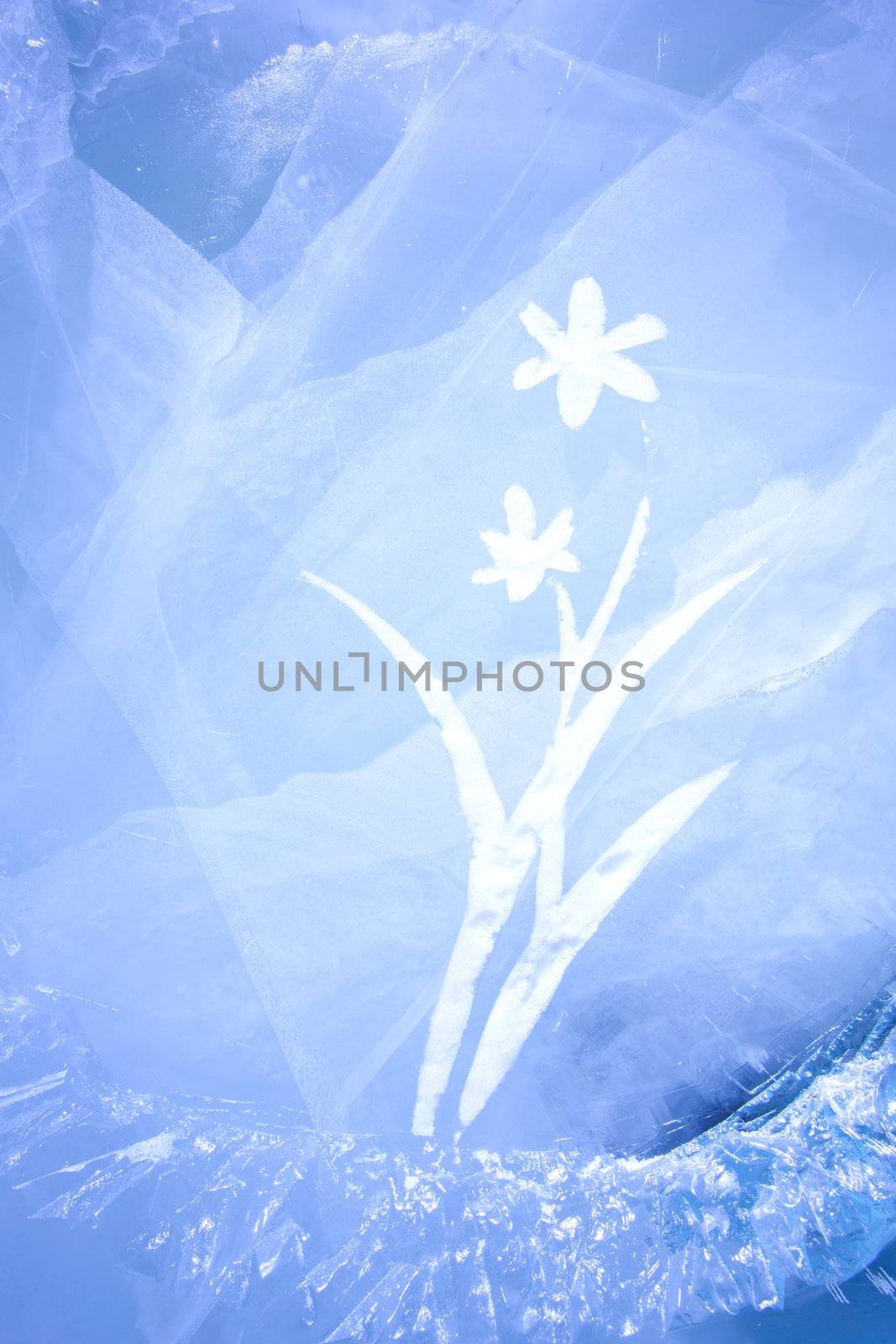 ice Carving with flower shape