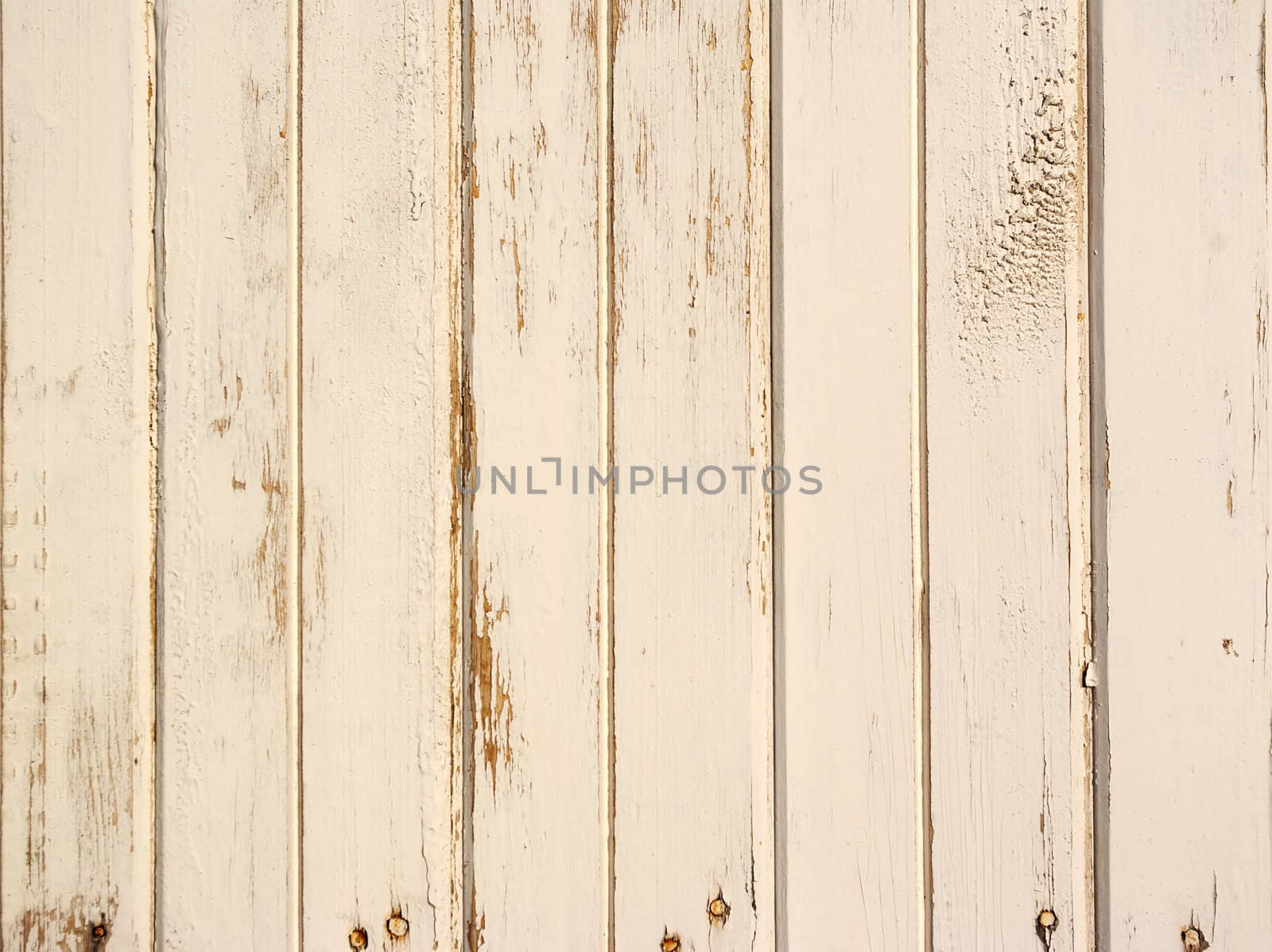old wooden panel background in grunge style