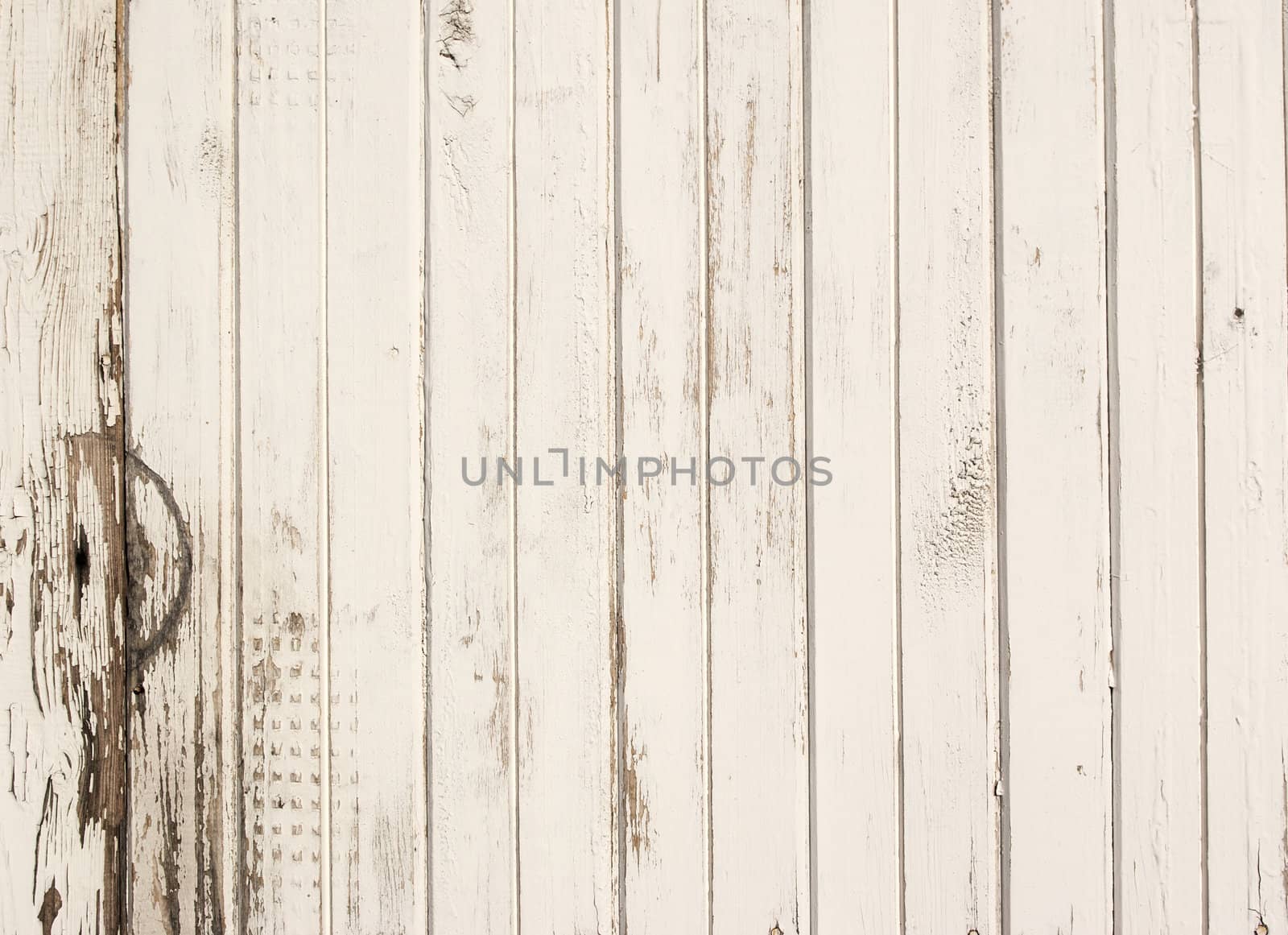 old wooden panel background in grunge style