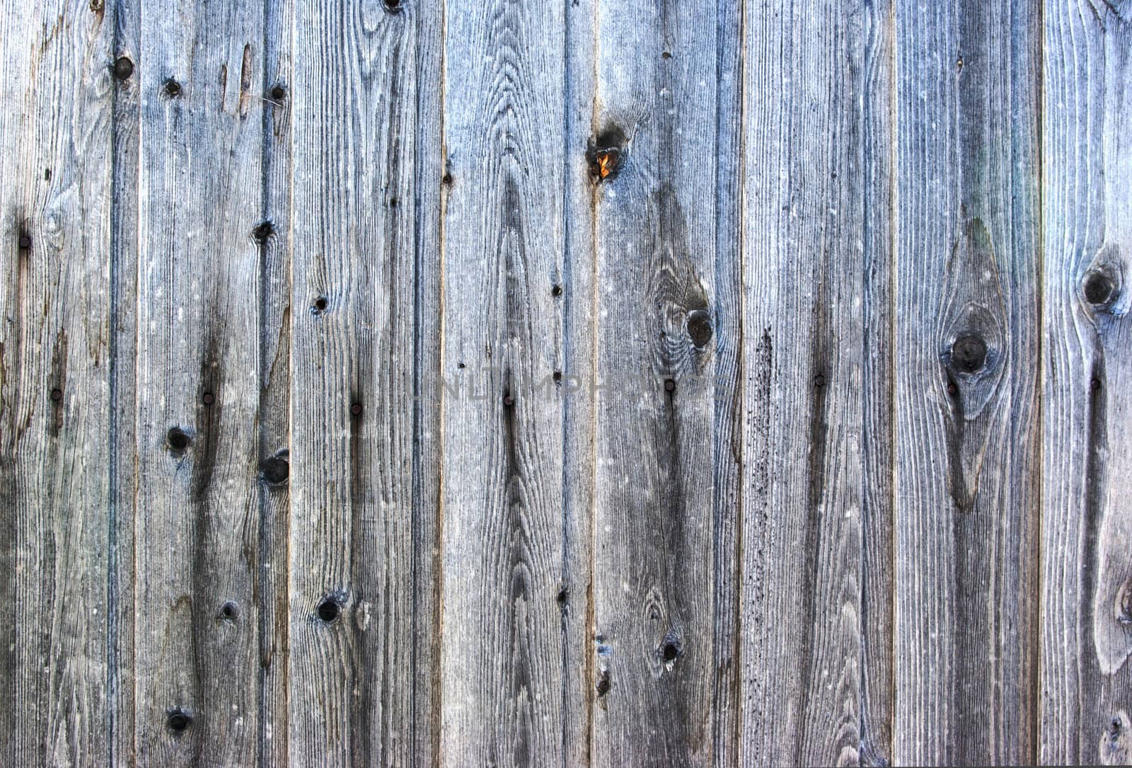 old wooden panel background in grunge style