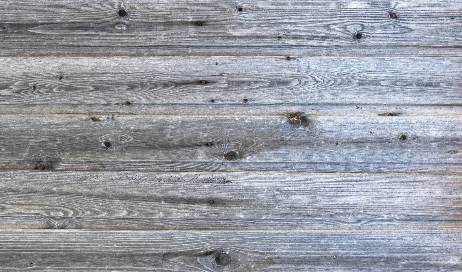 old wooden panel background in grunge style
