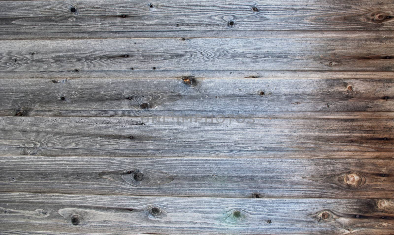 old wooden panel background in grunge style