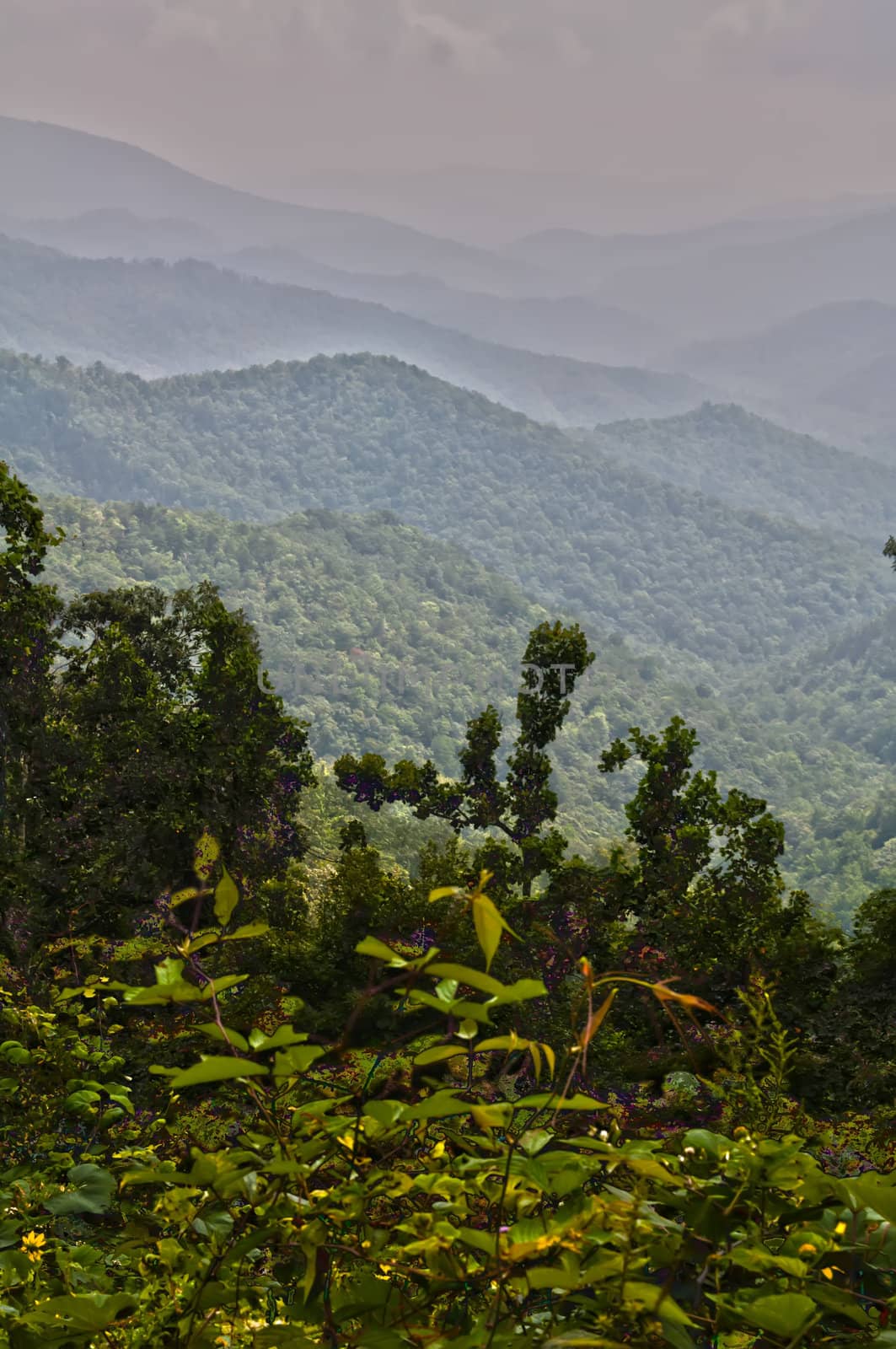 mountains around mount mitchell by digidreamgrafix