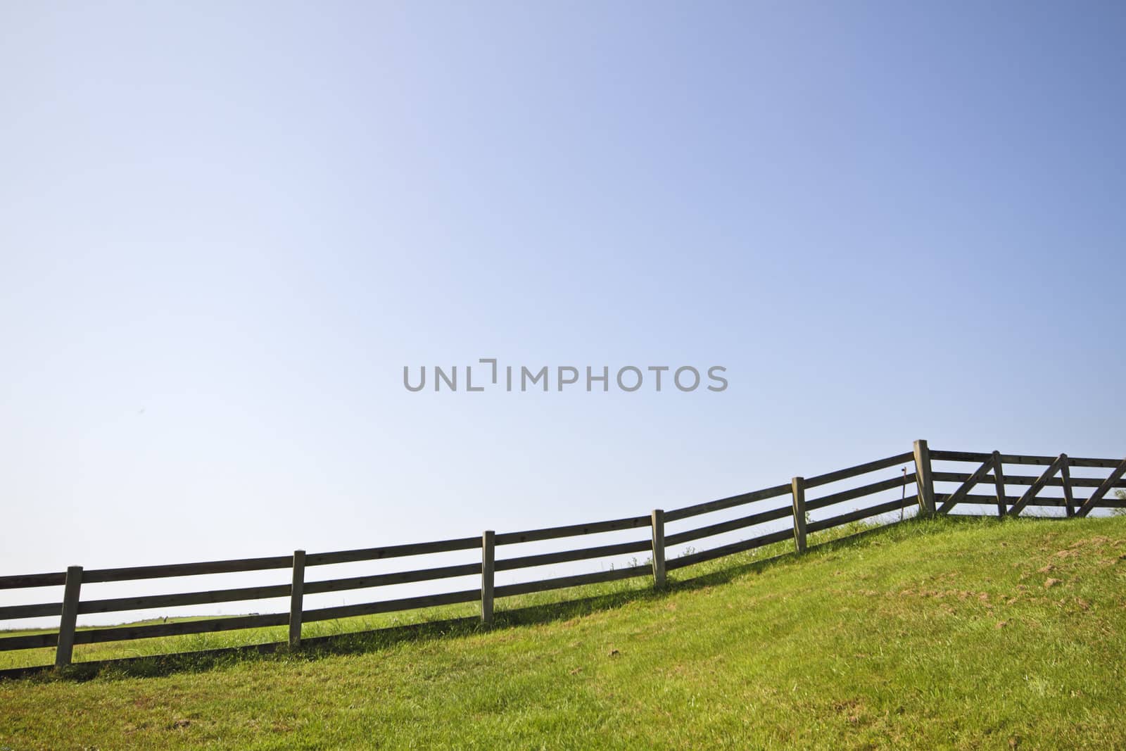 Fence and a blue sky in springtime