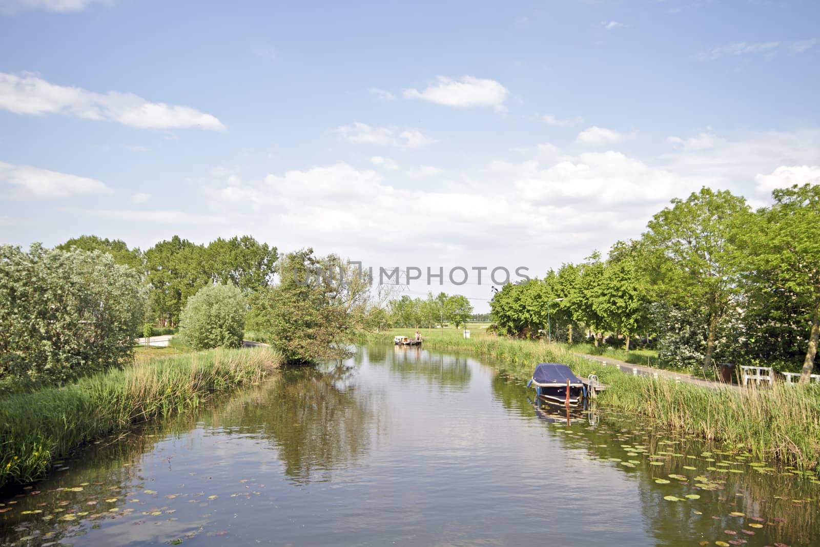 Nature in springtime in the Netherlands by devy