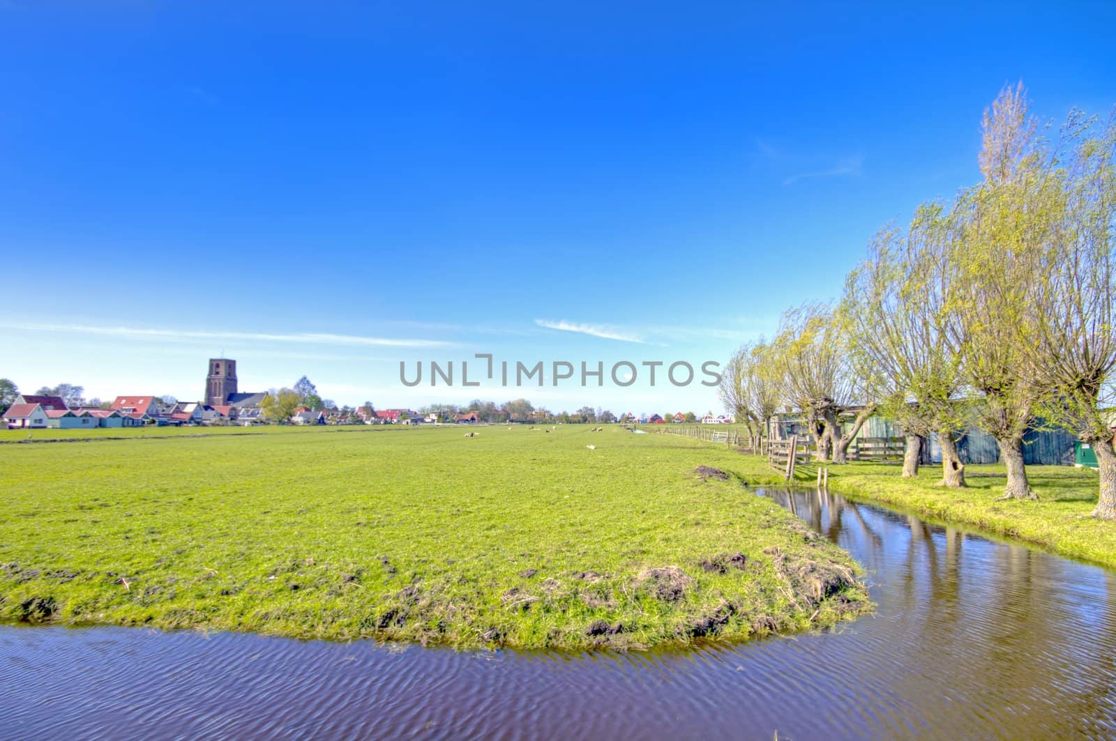 Typical dutch landscape in springtime in the Netherlands