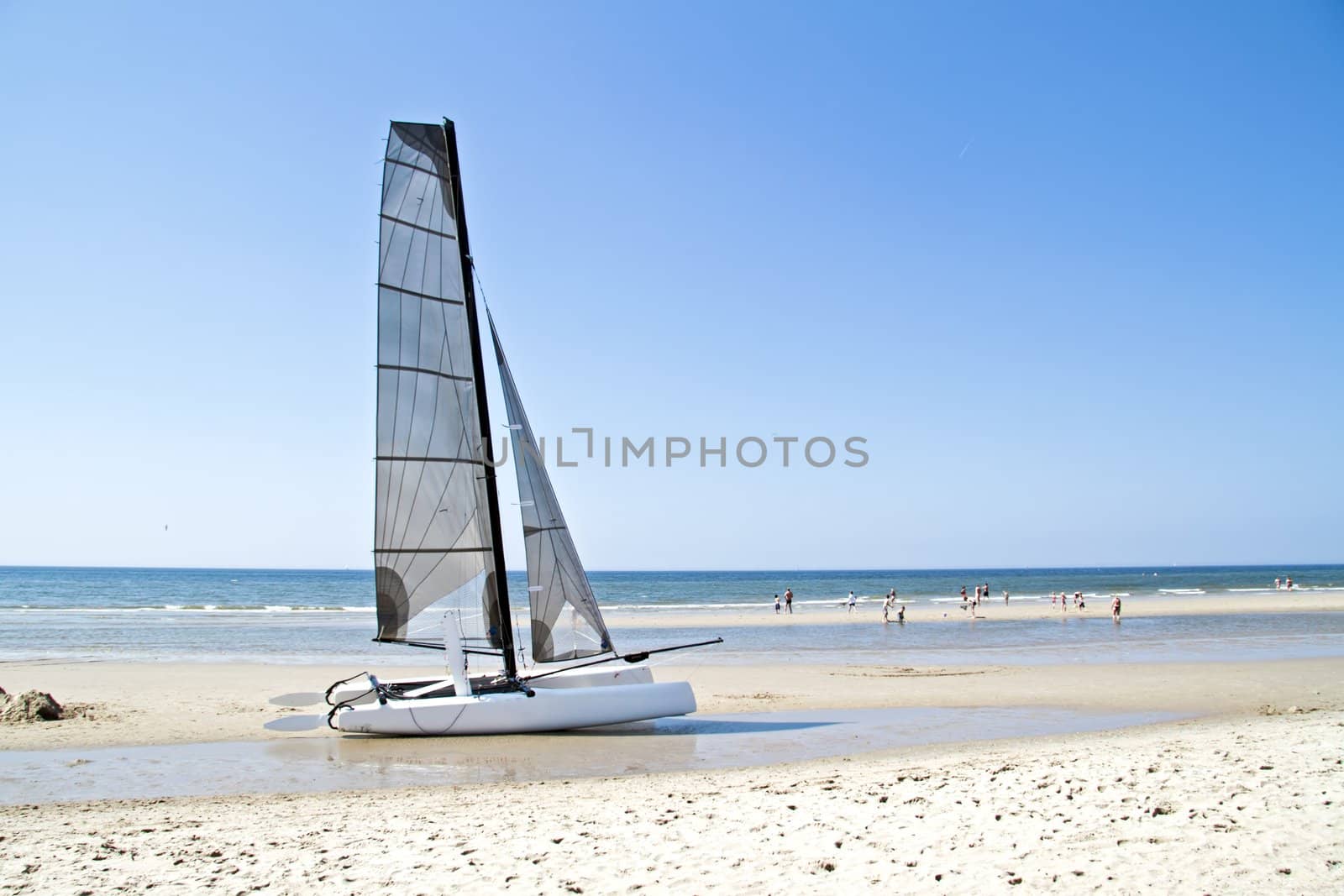 Catamaran at the beach from the north sea in the Netherlands by devy