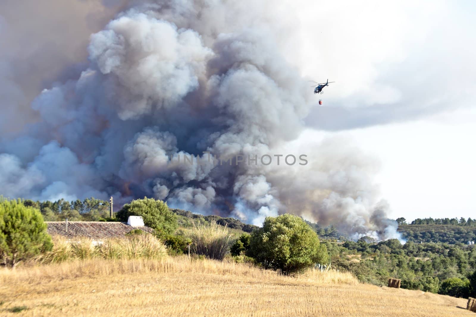Forest fire in the countryside from Portugal