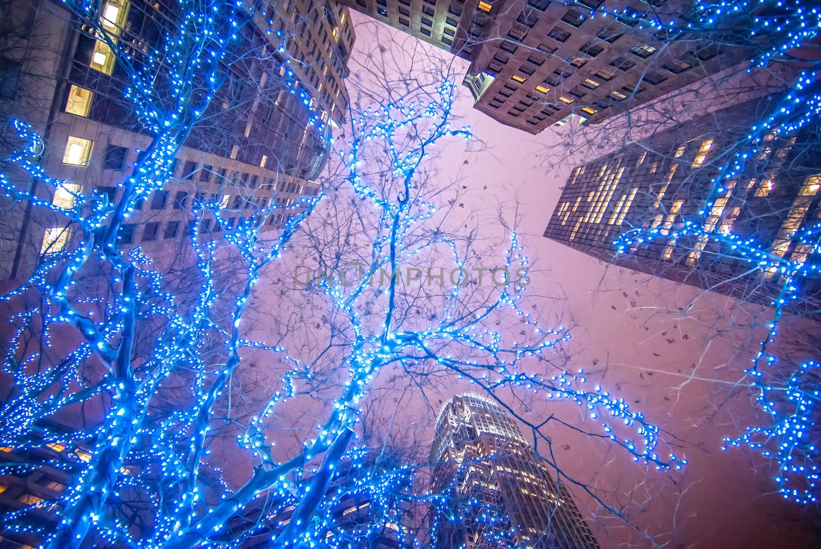 Skyline of uptown Charlotte, North Carolina at night.