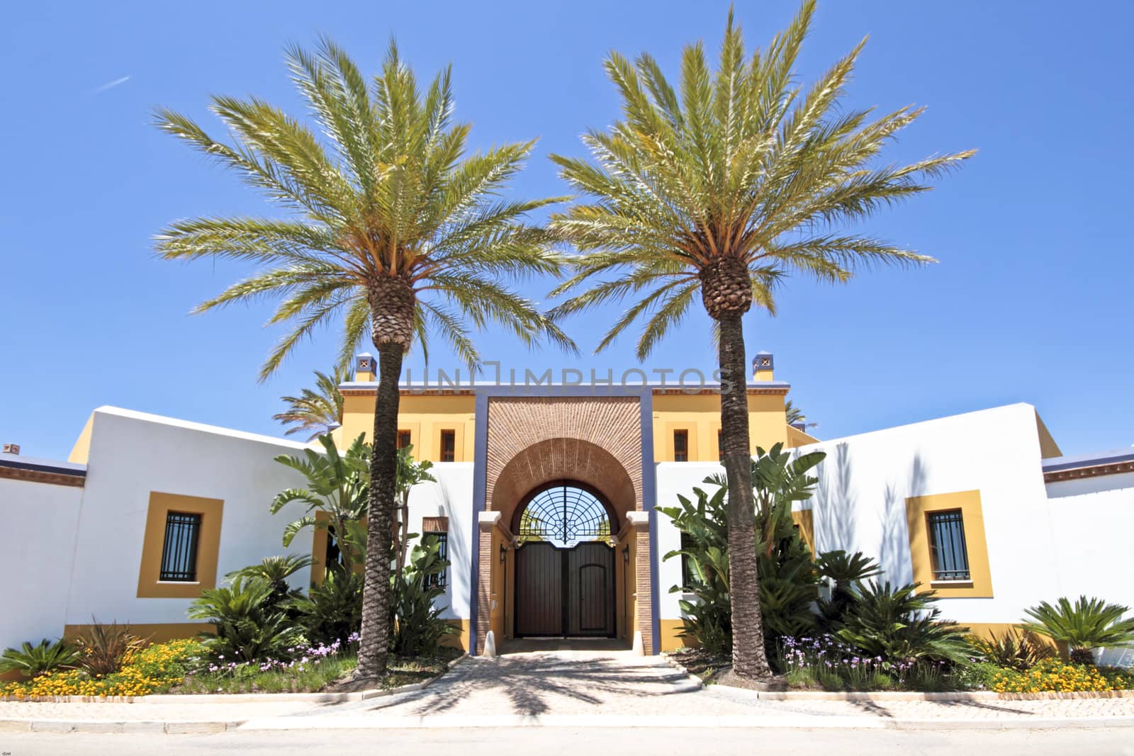 Gate with palm trees