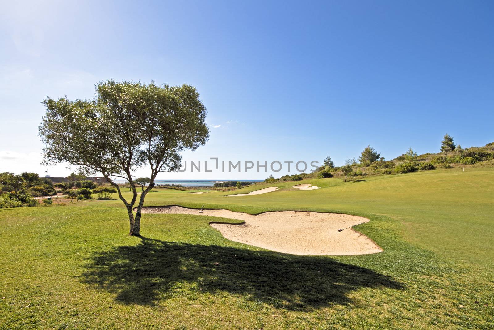 Golf course in the Algarve Portugal