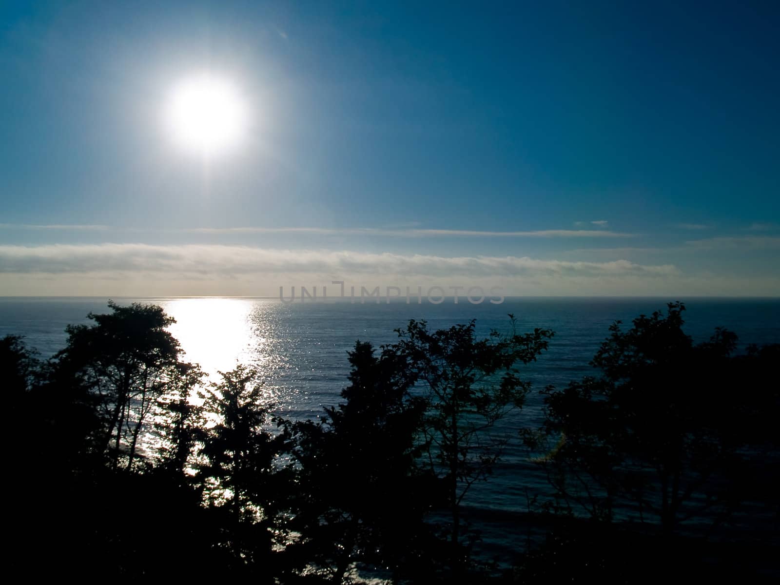 Trees Silhouetted by a Blue Ocean Sunset by Frankljunior