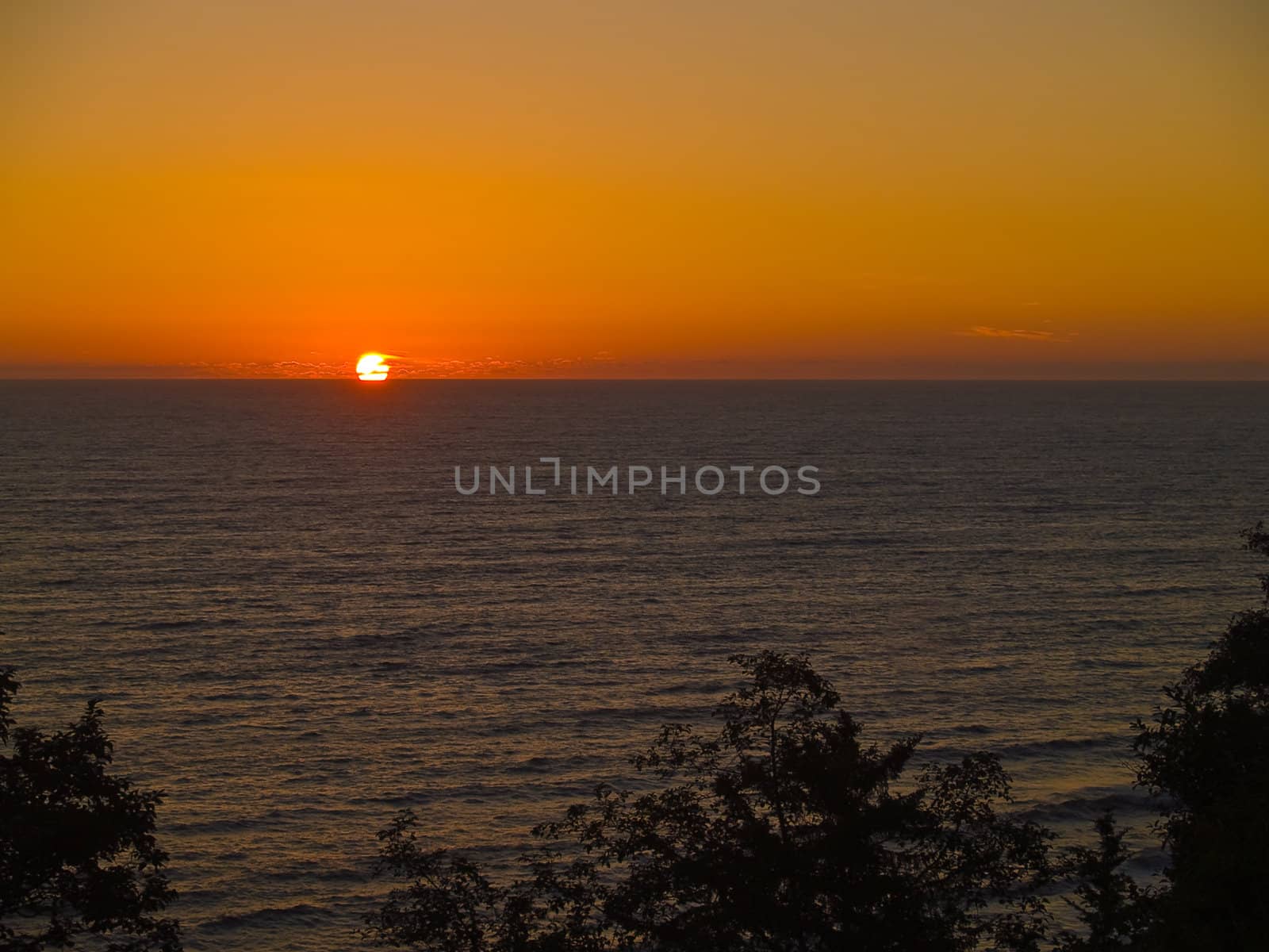 Golden Sunset Over the Ocean wth Trees in the Foreground 