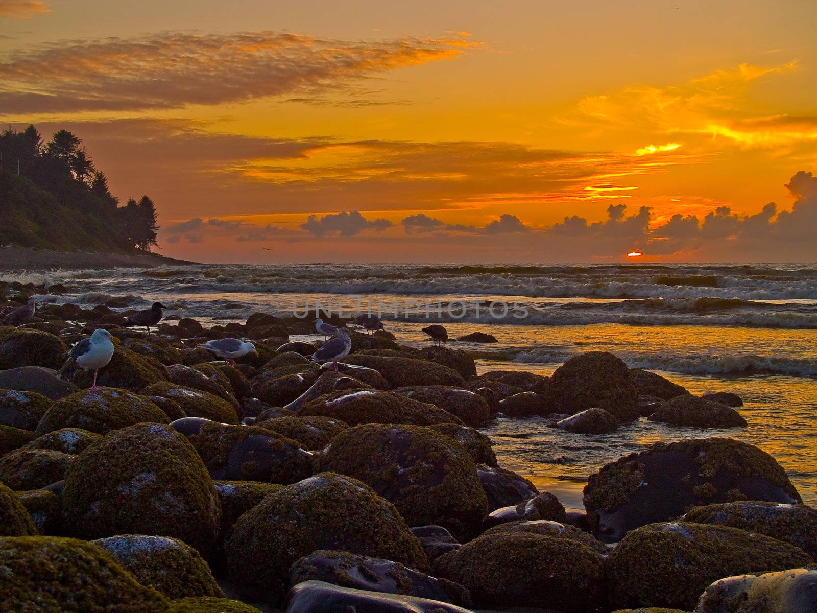 Fiery Sunset at a Rocky Beach on the Oregon Coast by Frankljunior