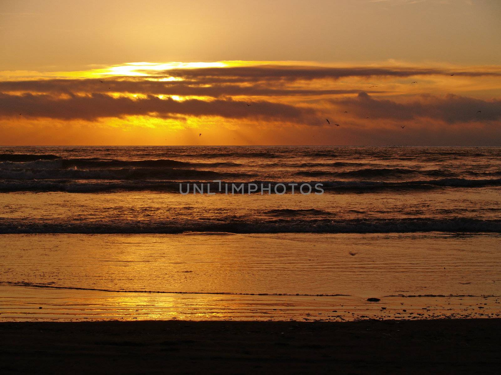 Golden Sunset Over the Ocean with Waves in the Foreground by Frankljunior
