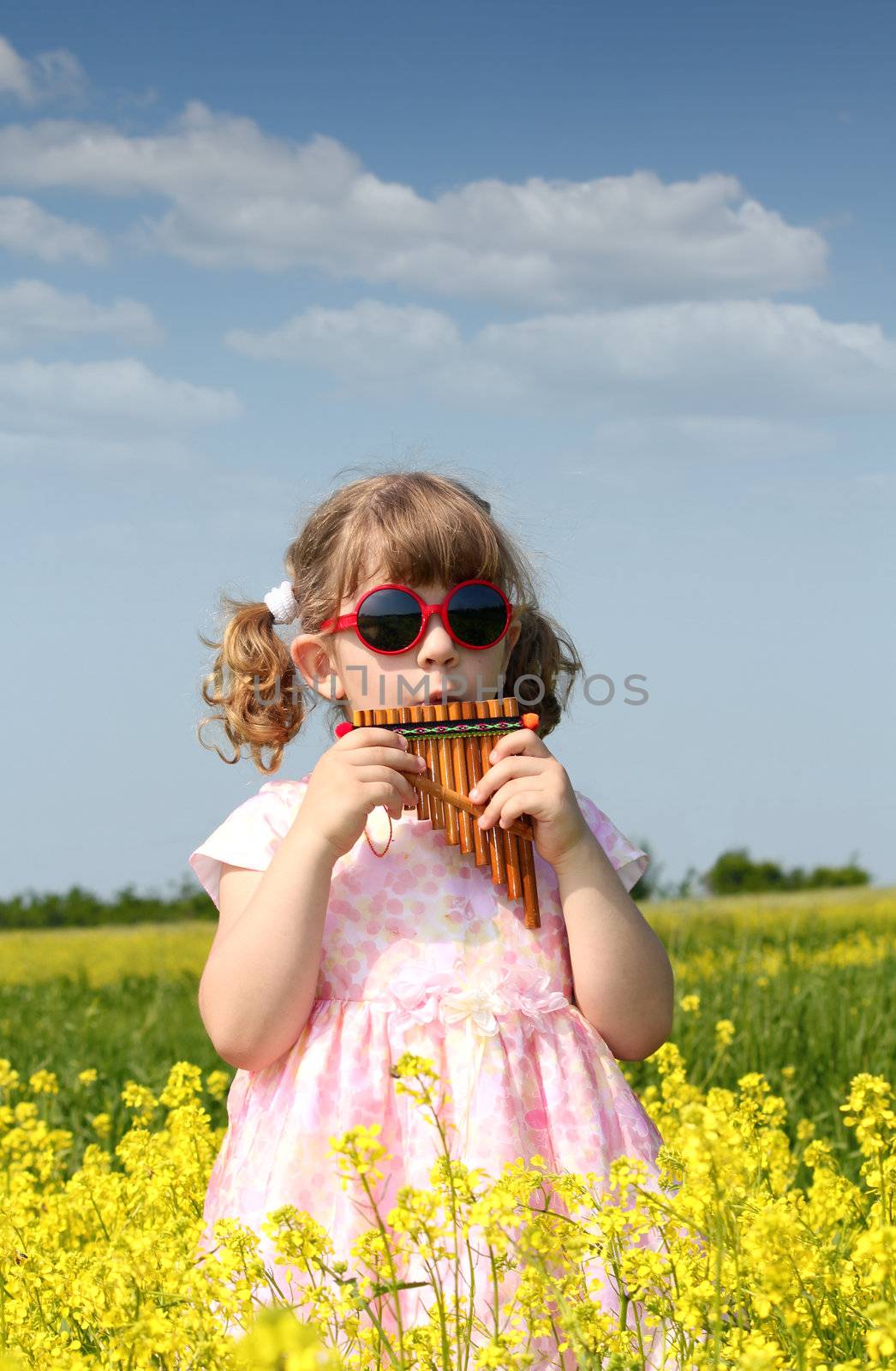 little girl standing in yellow flower field and play pan pipe by goce