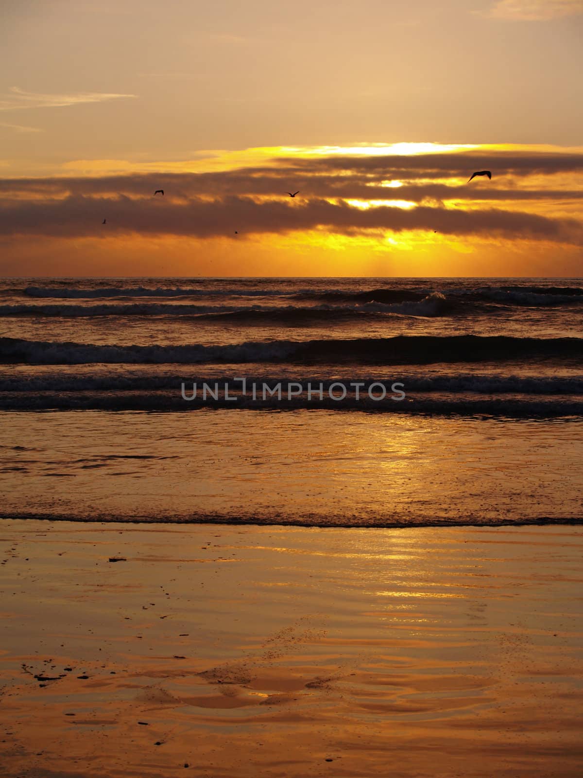 Golden Sunset Over the Ocean with Waves in the Foreground by Frankljunior