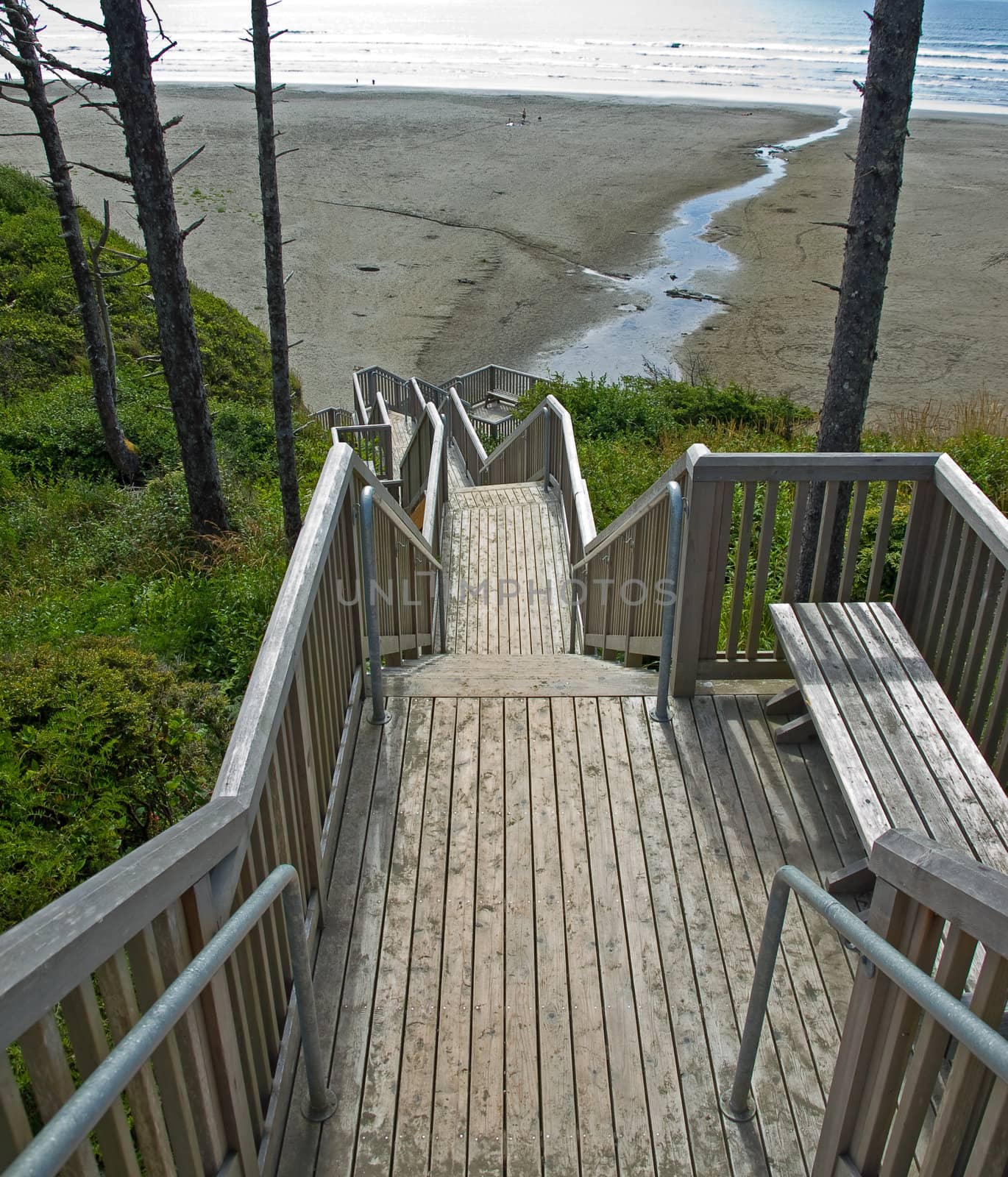A Wooden Staircase Leading Down a Wooded Hillside to the Beach