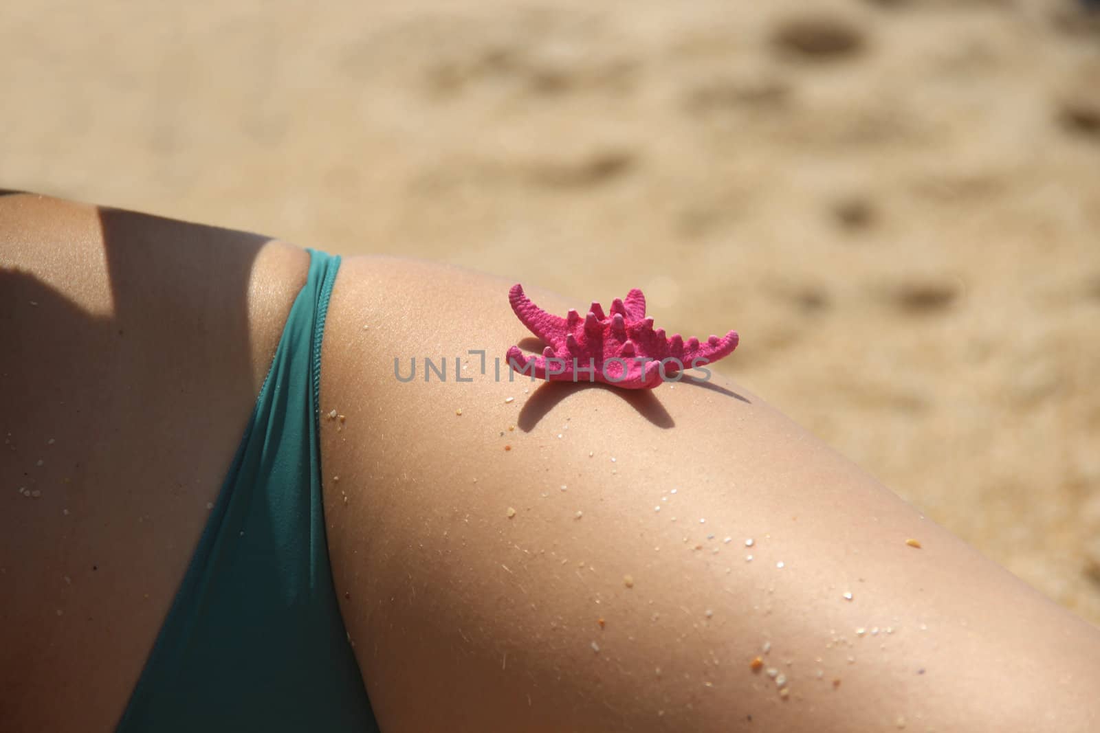 Beautiful female hips on the beach decorated with the starfish 