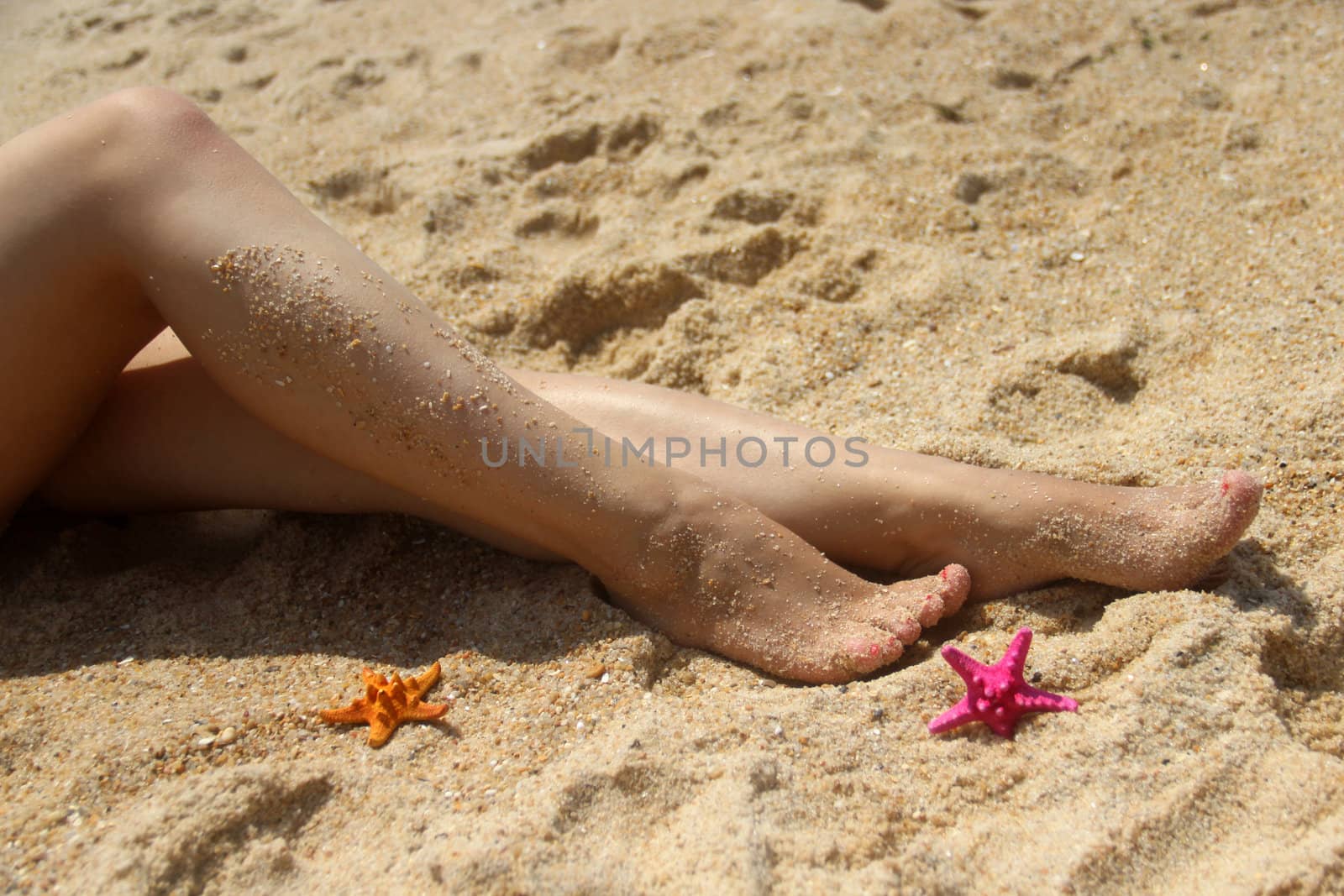 Beautiful long female legs on the beach and vivid starfishes 