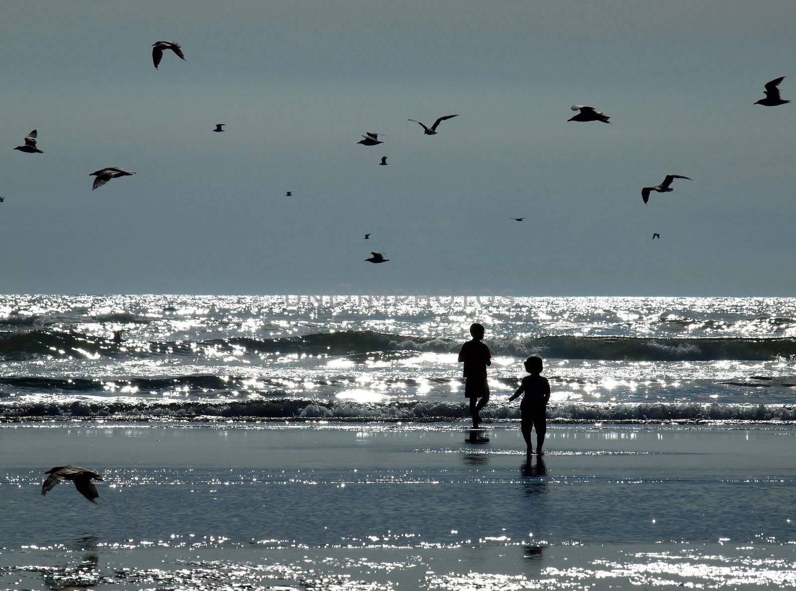 Two Kids Playing on the Beach as the Sun is Glistening on the Water