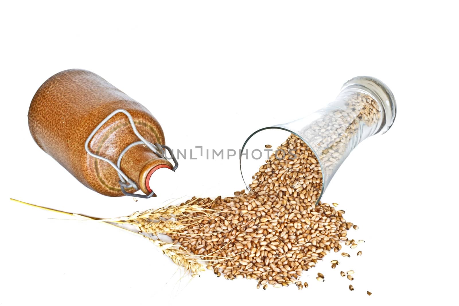 Glass of beer with wheat grain on a white background