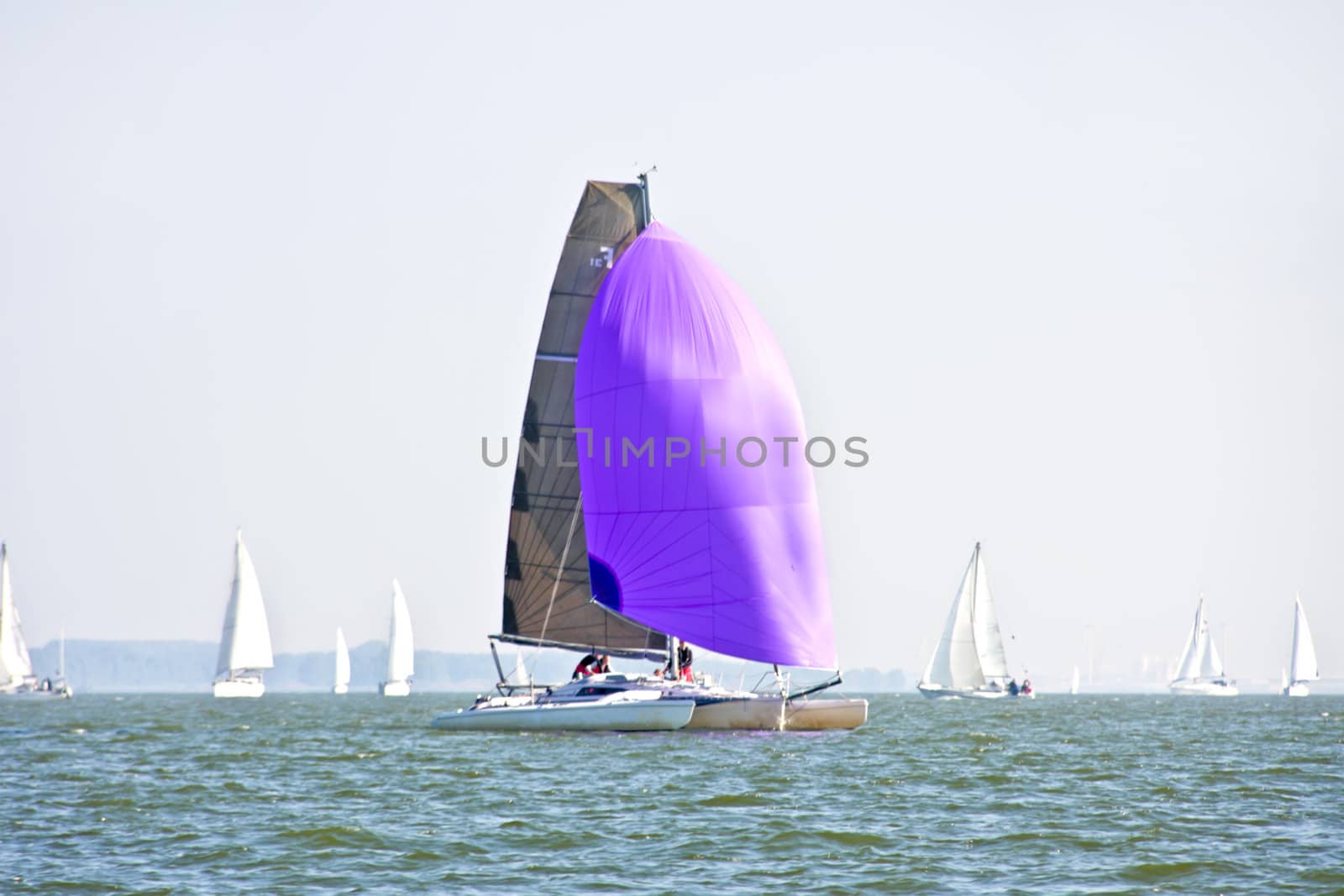 Sailing on the IJsselmeer in the Netherlands