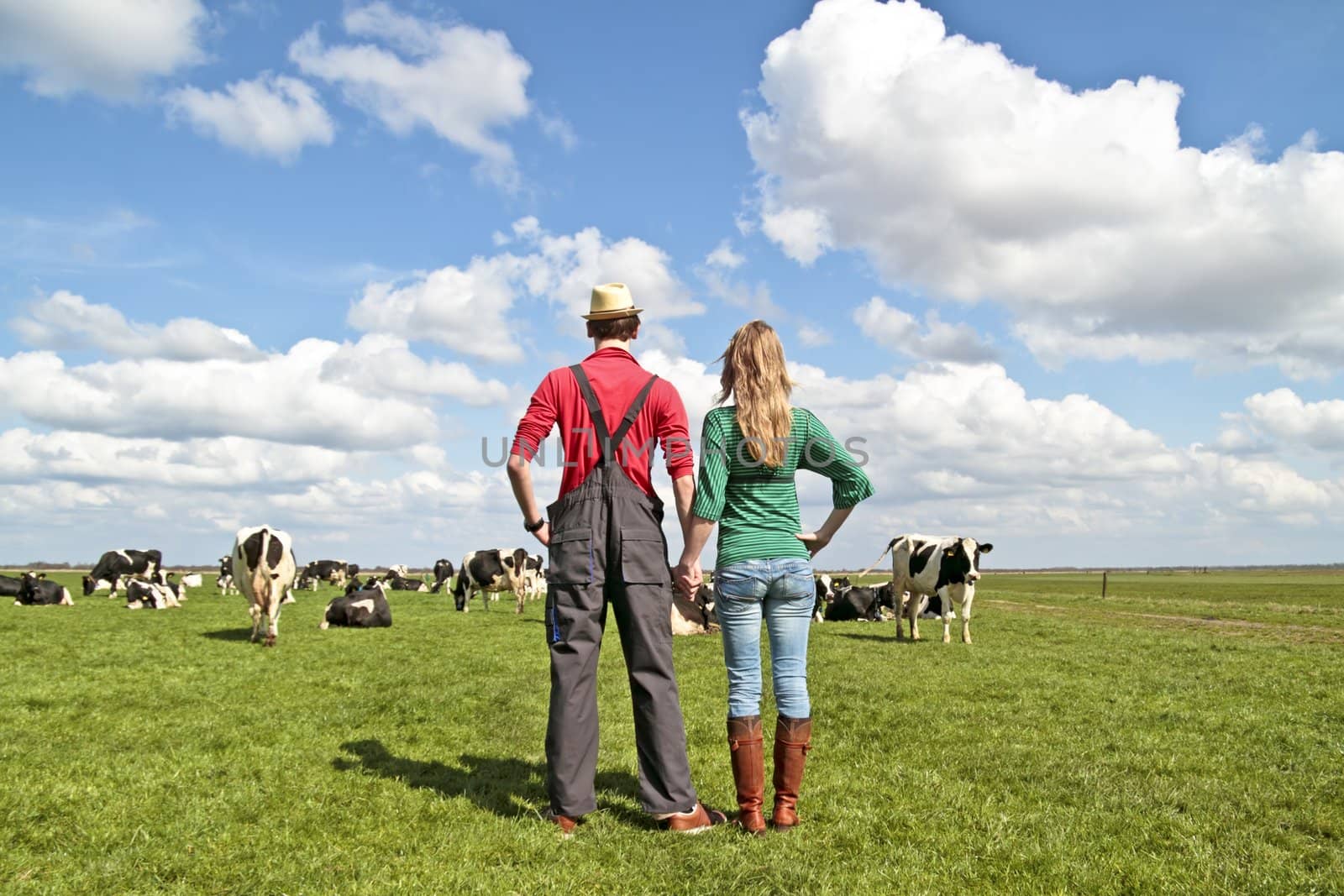 The farmer and his wife proudly looking at their cows in the countryside from the Netherlands