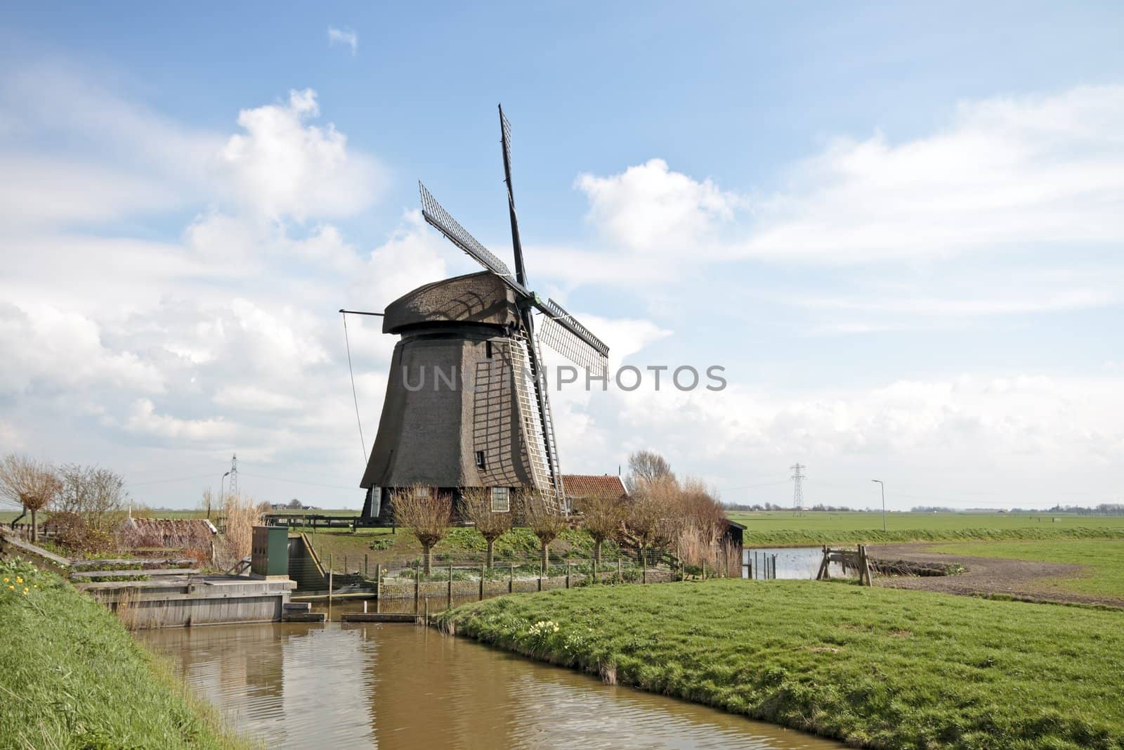 traditional windmill in dutch landscape in the Netherlands