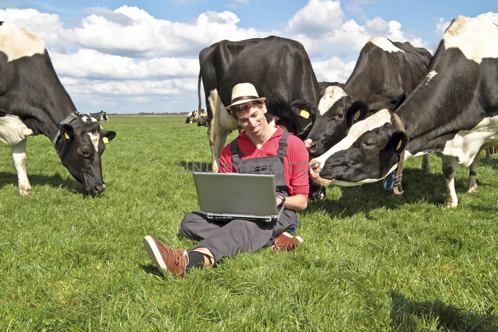 Dutch farmer with his laptop between the cows in the countryside