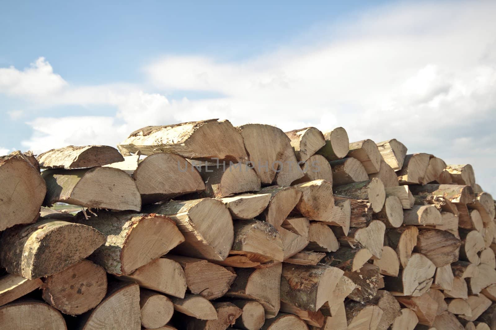 Pile of wood in the countryside