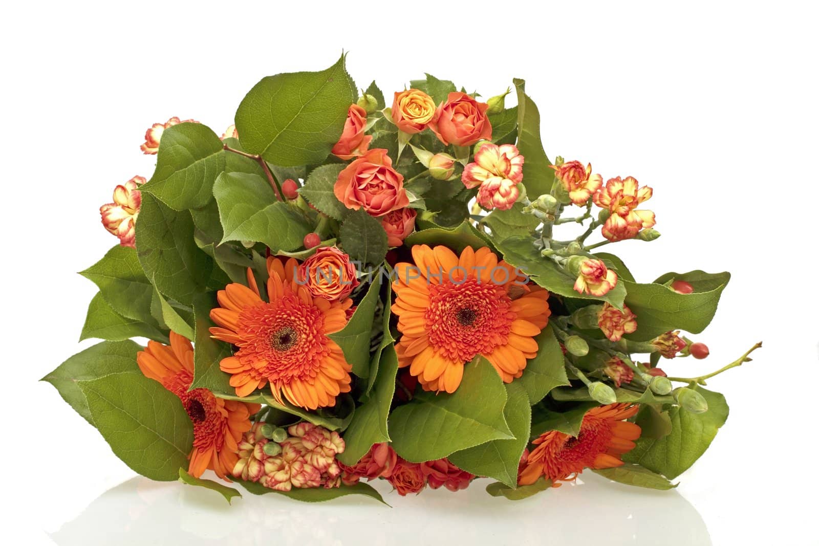 Bouquet of orange flowers on a white background