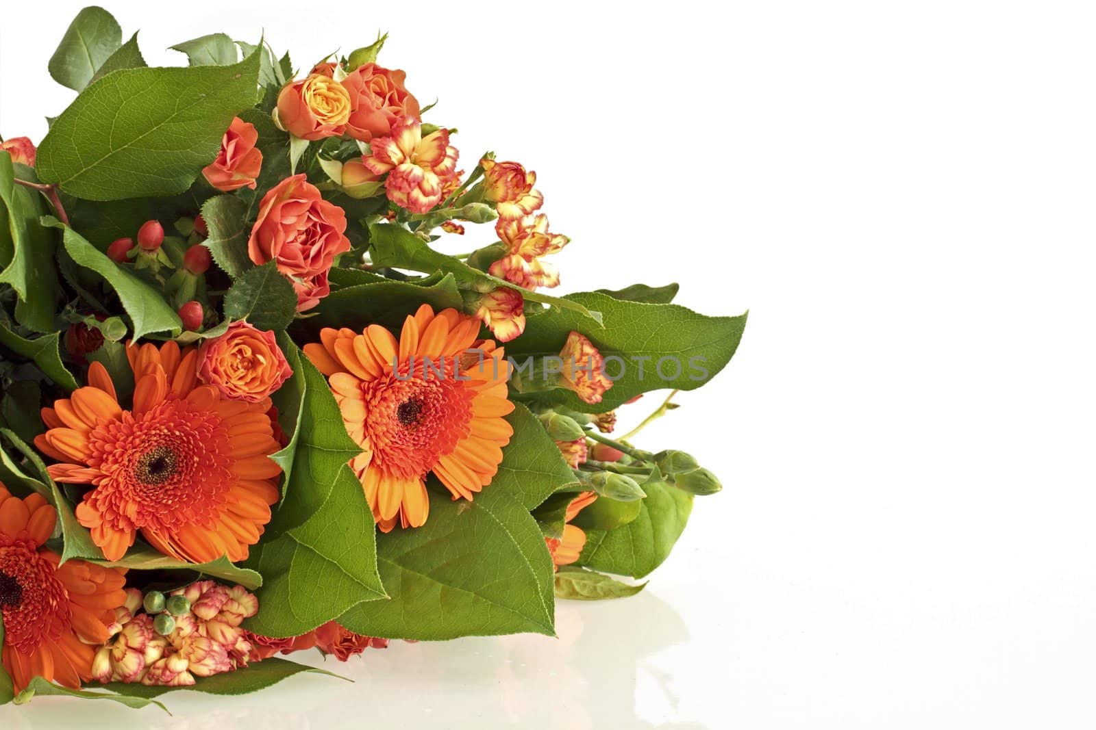 Bouquet of beautiful flowers on a white background