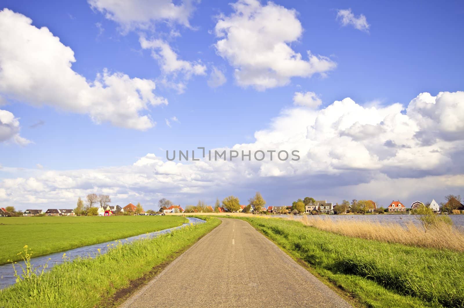 Typical dutch landscape in springtime in the Netherlands