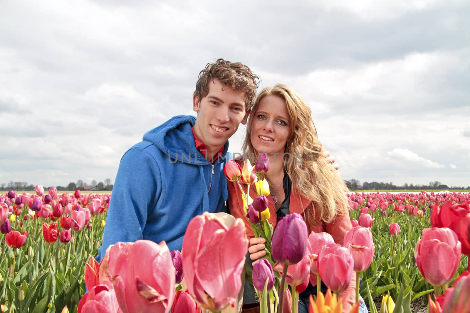 Young happy couple in the tulip fields from the Netherlands by devy