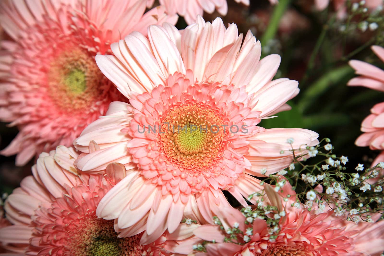 close up of pink flowers that decorate a church