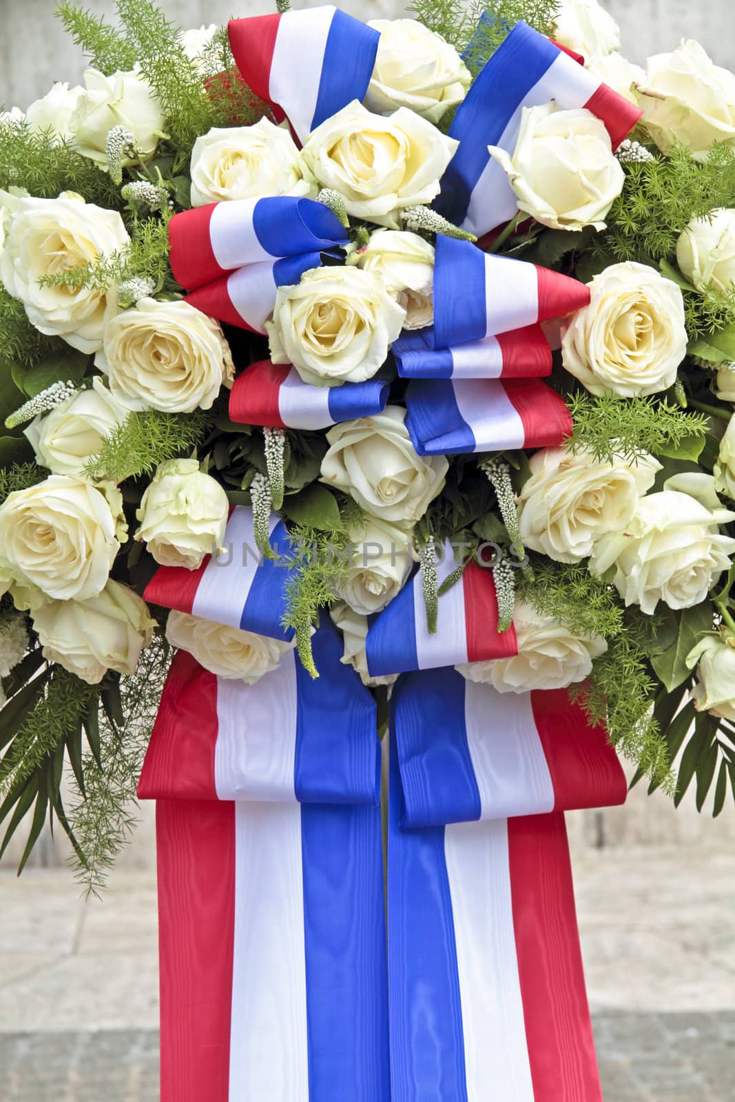 White roses and the dutch national flag