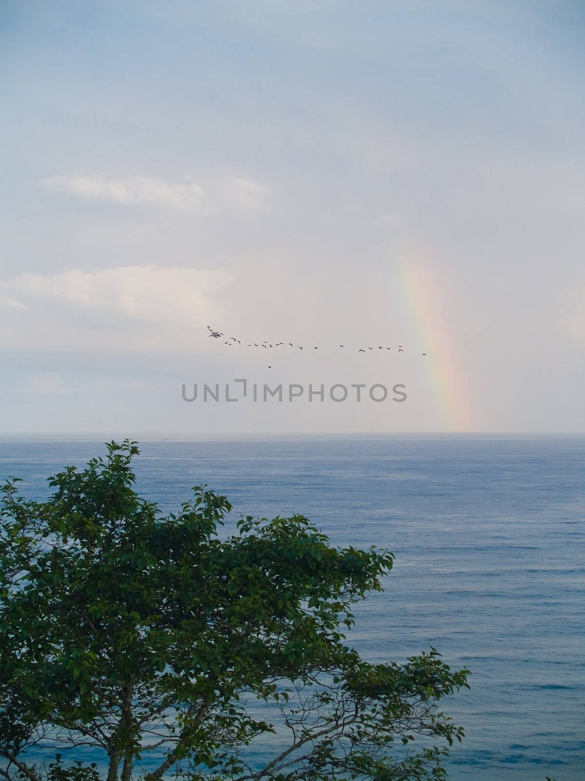 Rainbow Over the Ocean with a Partly Cloudy Sky by Frankljunior