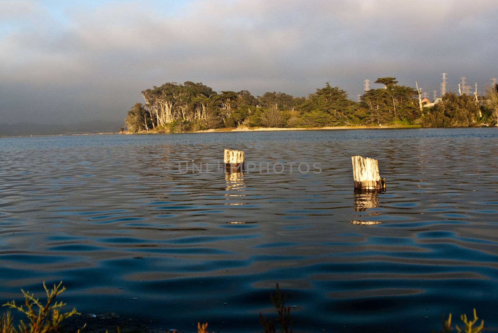 Fog rolls out of inlet at Moss Landing California