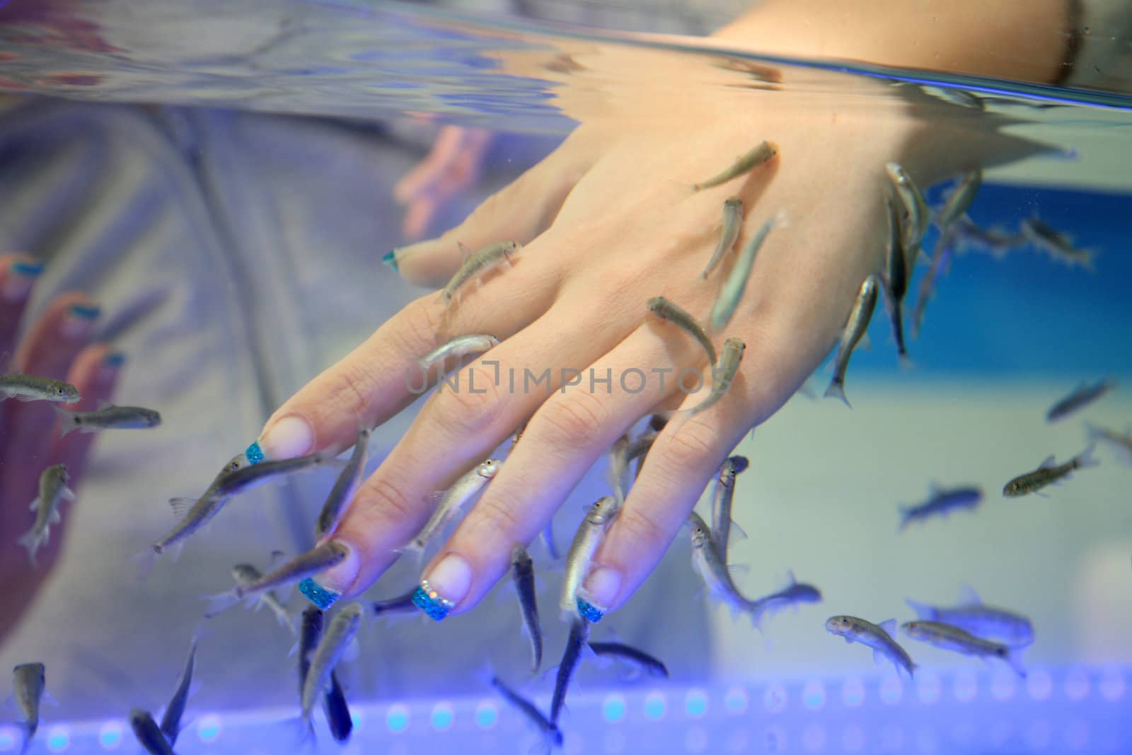 close-up of hand taking care at fish spa