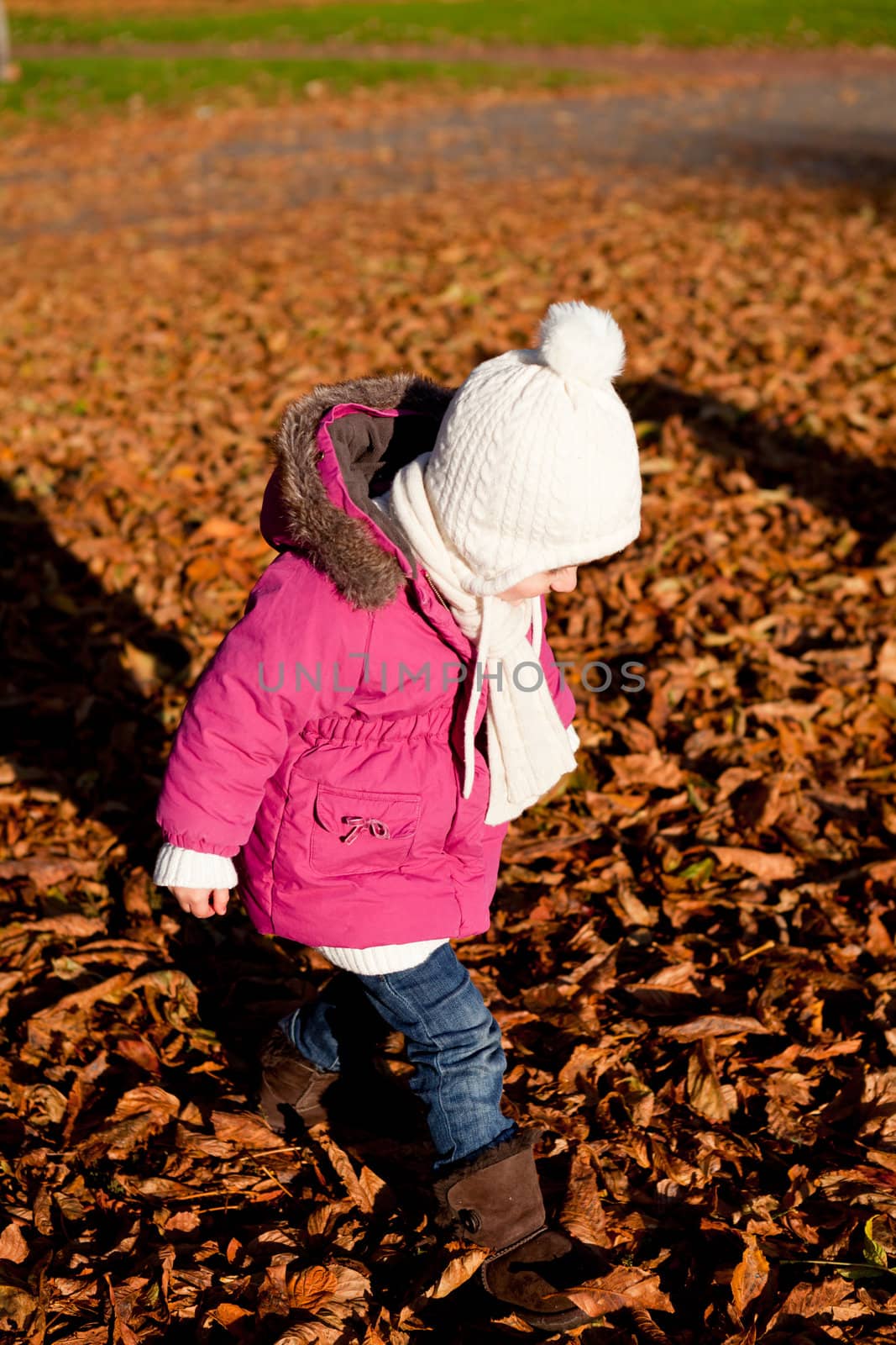 cute littloe girl playing outdoor in colorfull autumn park