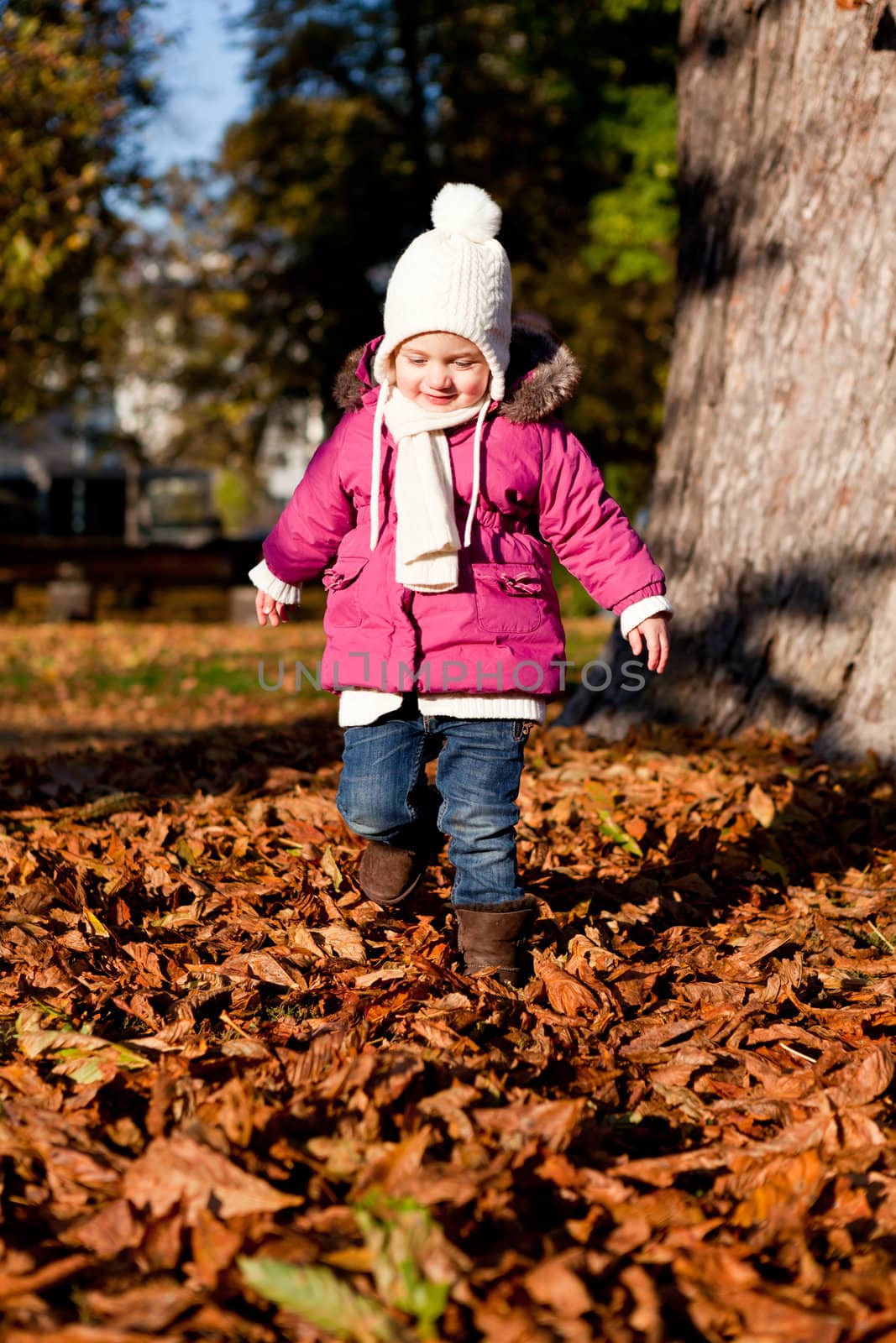 cute littloe girl playing outdoor in colorfull autumn park